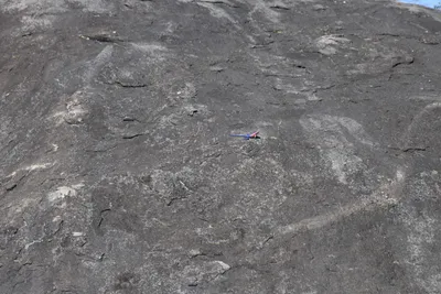 DSC_3929 (Large).JPG